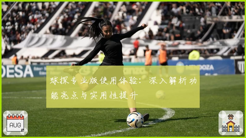 球探专业版使用体验：深入解析功能亮点与实用性提升