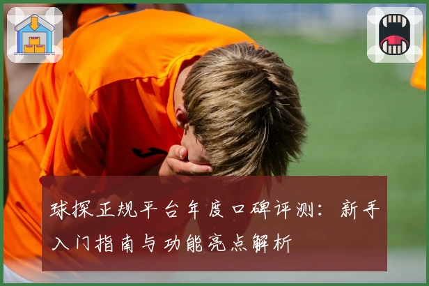 球探正规平台年度口碑评测：新手入门指南与功能亮点解析