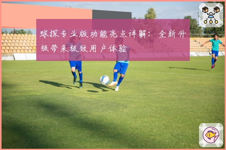 球探专业版功能亮点详解：全新升级带来极致用户体验