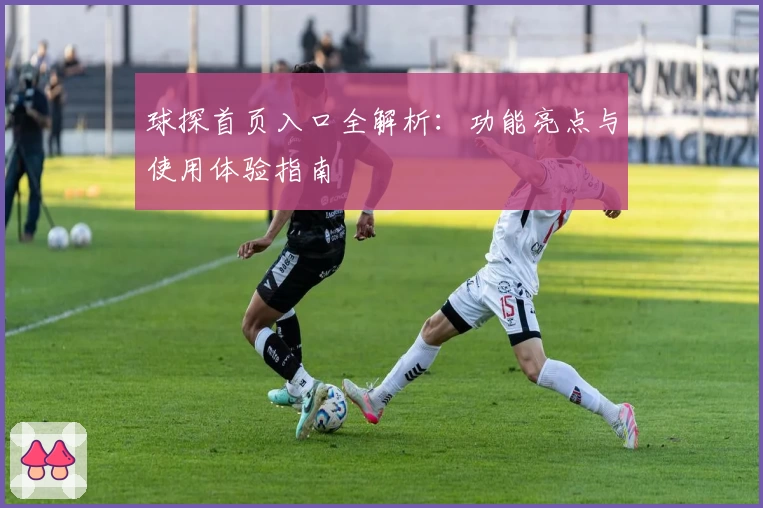 球探首页入口全解析:功能亮点与使用体验指南
